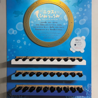 『登別マリンパークニクス』回廊壁面展示ビジュアルデザイン