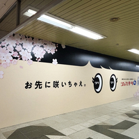 『ジョブキタ紹介』地下鉄大通駅東ボード広告